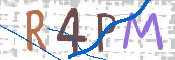 画像に表示された文字を入力して下さい
