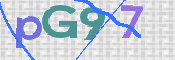 画像に表示された文字を入力して下さい