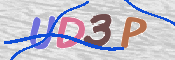 画像に表示された文字を入力して下さい