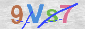 画像に表示された文字を入力して下さい