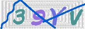 画像に表示された文字を入力して下さい