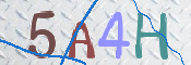 画像に表示された文字を入力して下さい