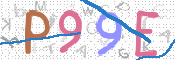 画像に表示された文字を入力して下さい