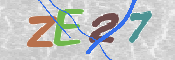 画像に表示された文字を入力して下さい