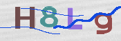 画像に表示された文字を入力して下さい