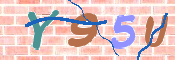 画像に表示された文字を入力して下さい