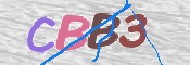 画像に表示された文字を入力して下さい