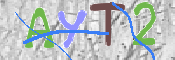 画像に表示された文字を入力して下さい