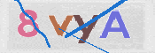 画像に表示された文字を入力して下さい