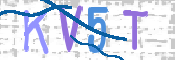 画像に表示された文字を入力して下さい