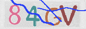 画像に表示された文字を入力して下さい
