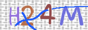 画像に表示された文字を入力して下さい