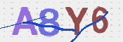 画像に表示された文字を入力して下さい