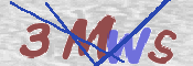 画像に表示された文字を入力して下さい