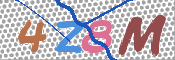 画像に表示された文字を入力して下さい