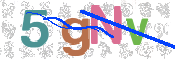 画像に表示された文字を入力して下さい
