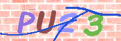 画像に表示された文字を入力して下さい