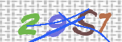 画像に表示された文字を入力して下さい
