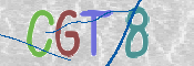 画像に表示された文字を入力して下さい