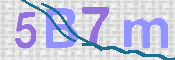 画像に表示された文字を入力して下さい