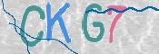 画像に表示された文字を入力して下さい