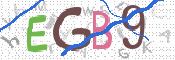 画像に表示された文字を入力して下さい