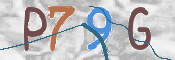 画像に表示された文字を入力して下さい