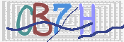 画像に表示された文字を入力して下さい