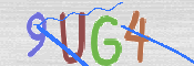 画像に表示された文字を入力して下さい