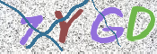 画像に表示された文字を入力して下さい