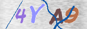 画像に表示された文字を入力して下さい