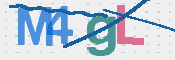 画像に表示された文字を入力して下さい