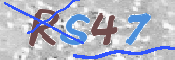画像に表示された文字を入力して下さい