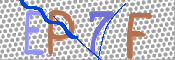 画像に表示された文字を入力して下さい