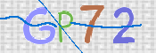 画像に表示された文字を入力して下さい