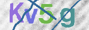 画像に表示された文字を入力して下さい