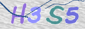 画像に表示された文字を入力して下さい
