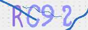 画像に表示された文字を入力して下さい