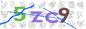 画像に表示された文字を入力して下さい