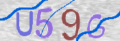 画像に表示された文字を入力して下さい