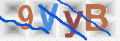 画像に表示された文字を入力して下さい