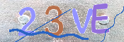 画像に表示された文字を入力して下さい