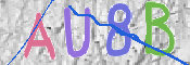 画像に表示された文字を入力して下さい