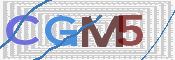 画像に表示された文字を入力して下さい