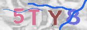 画像に表示された文字を入力して下さい
