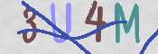 画像に表示された文字を入力して下さい