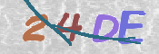 画像に表示された文字を入力して下さい