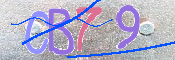 画像に表示された文字を入力して下さい