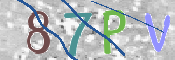 画像に表示された文字を入力して下さい