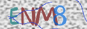 画像に表示された文字を入力して下さい
